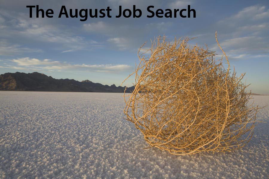 the august job search